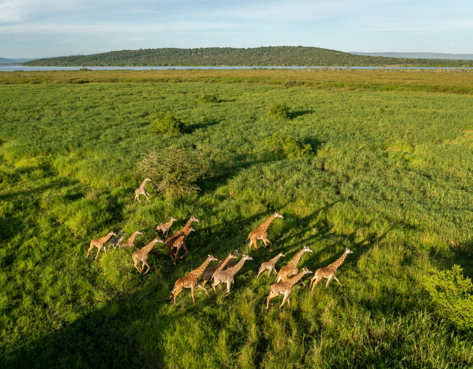 10-Day Uganda Rwanda Gorilla and Wildlife Safari