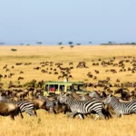Kidepo Valley National Park