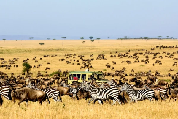 Kidepo Valley National Park