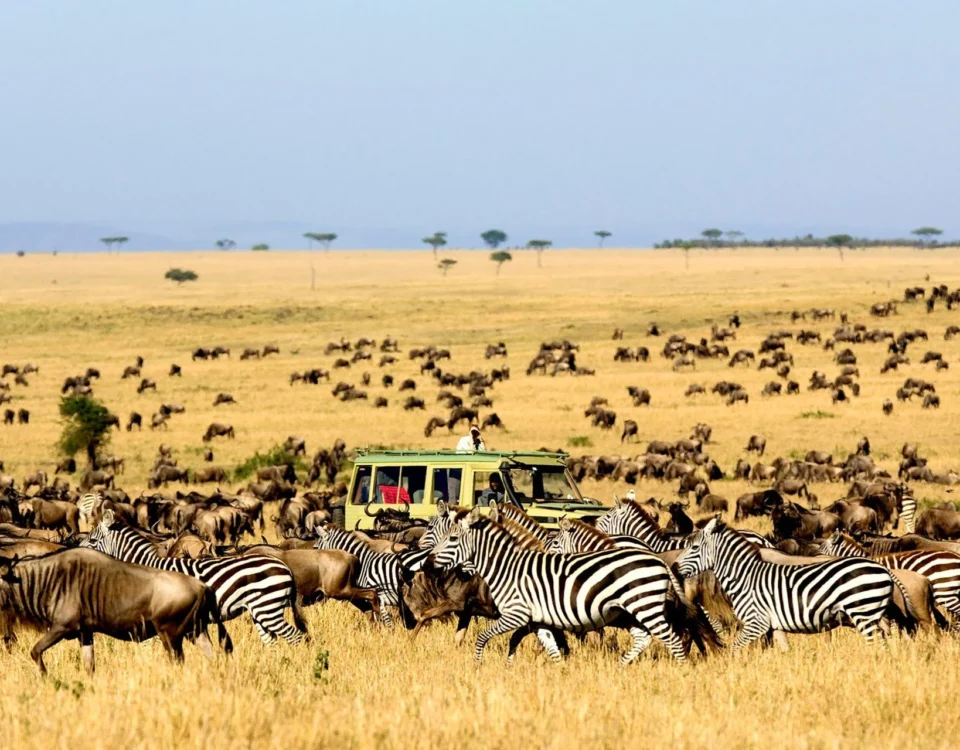 Kidepo Valley National Park