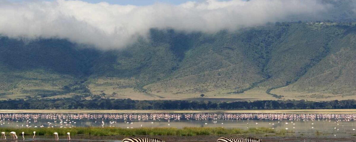 Ngorongoro Conservation Area