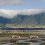 Ngorongoro Conservation Area