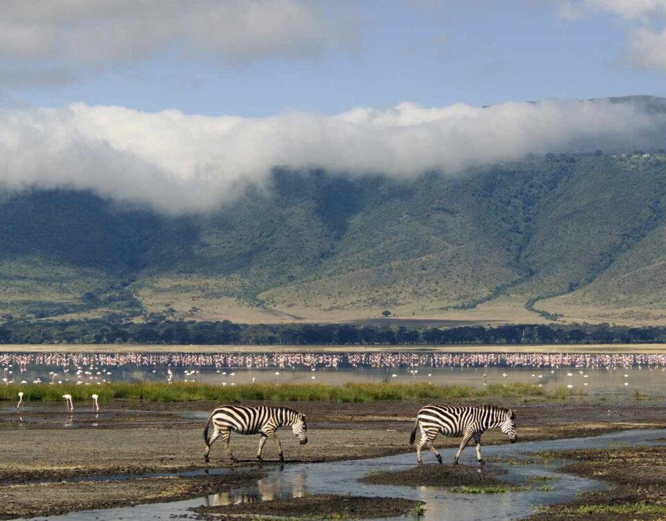 Ngorongoro Conservation Area