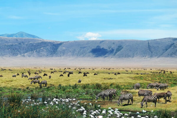 Ngorongoro Conservation Area
