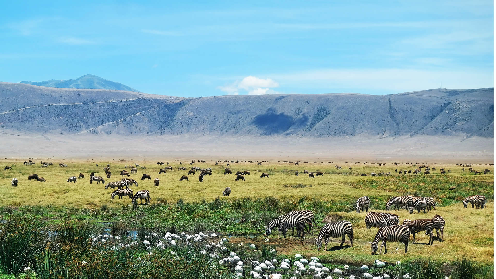 Ngorongoro Conservation Area