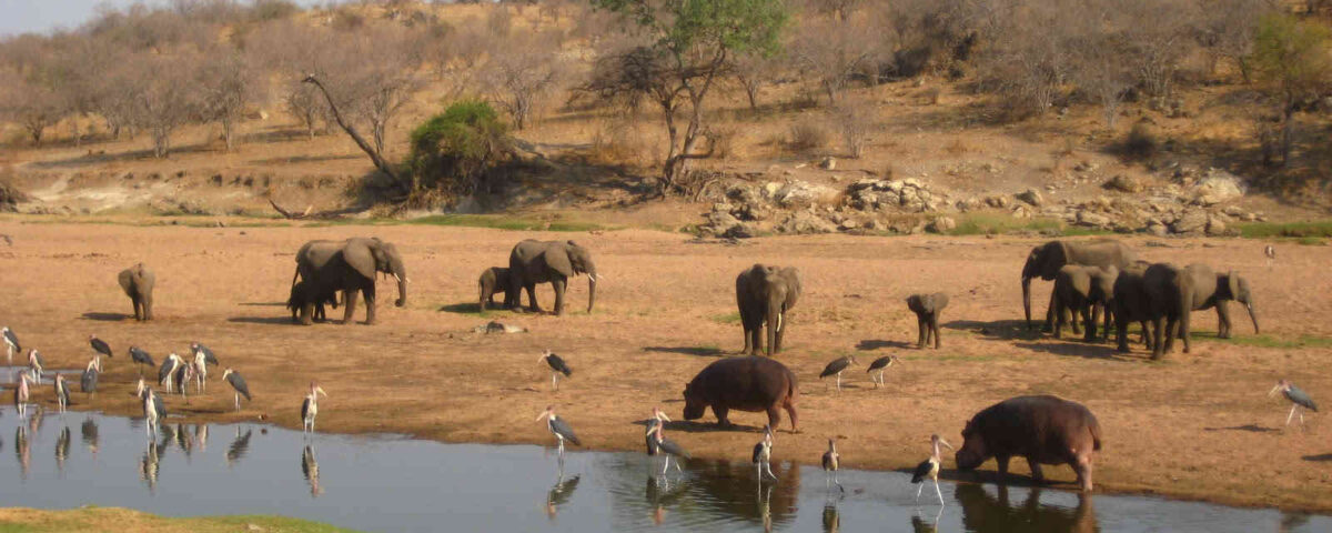 Ruaha National Park