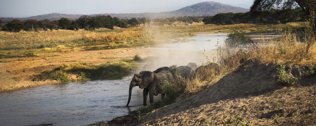 Ruaha National Park