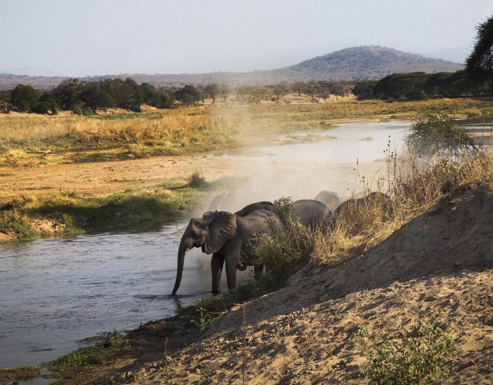 Ruaha National Park