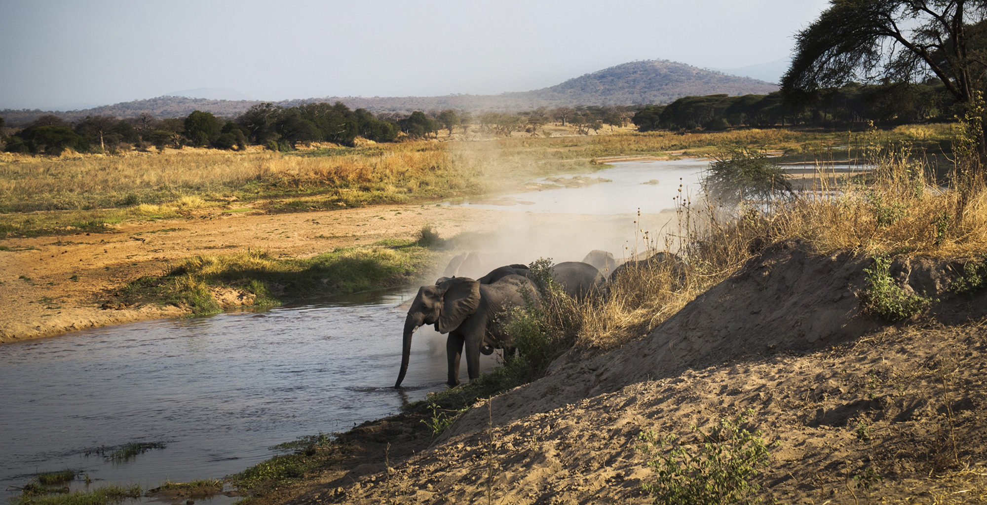 Ruaha National Park
