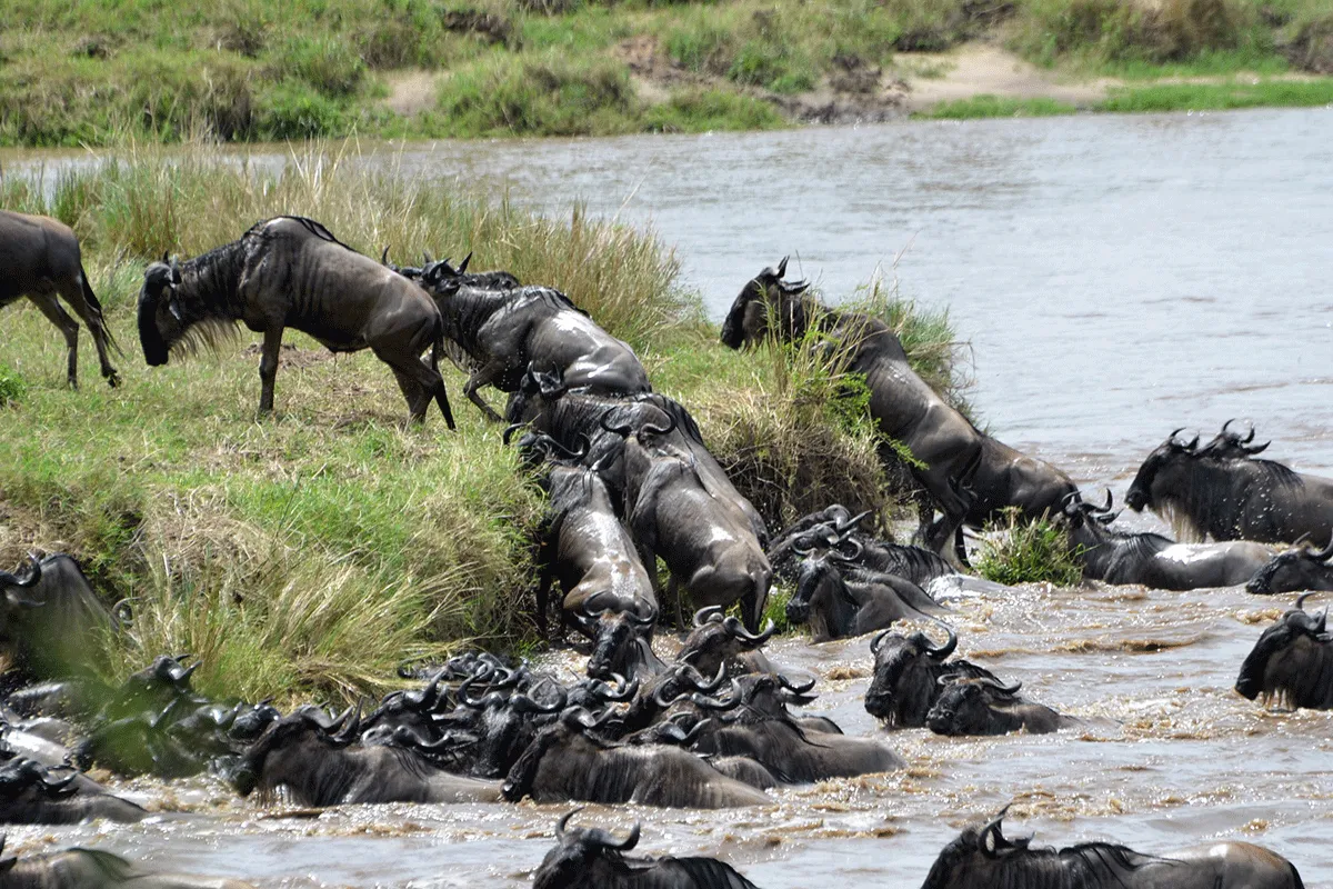 Serengeti National Park