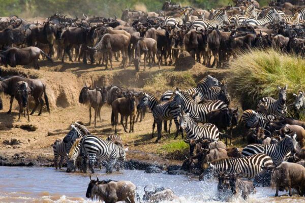 TANZANIA NATIONAL PARKS