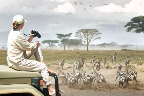 6-Day Majestic Tanzania Wildlife Luxury Safari
