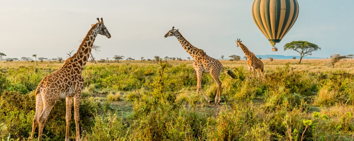 Is a Hot Air Balloon Safari Safe for Travelers?