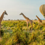 Is a Hot Air Balloon Safari Safe for Travelers?