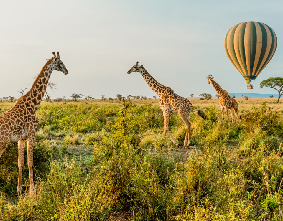 Is a Hot Air Balloon Safari Safe for Travelers?