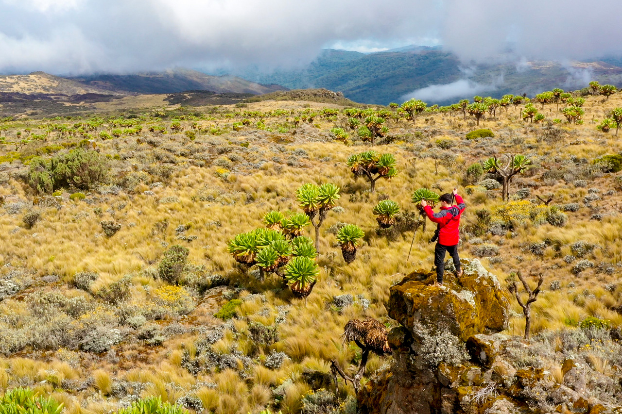 Mountain Hiking in Uganda