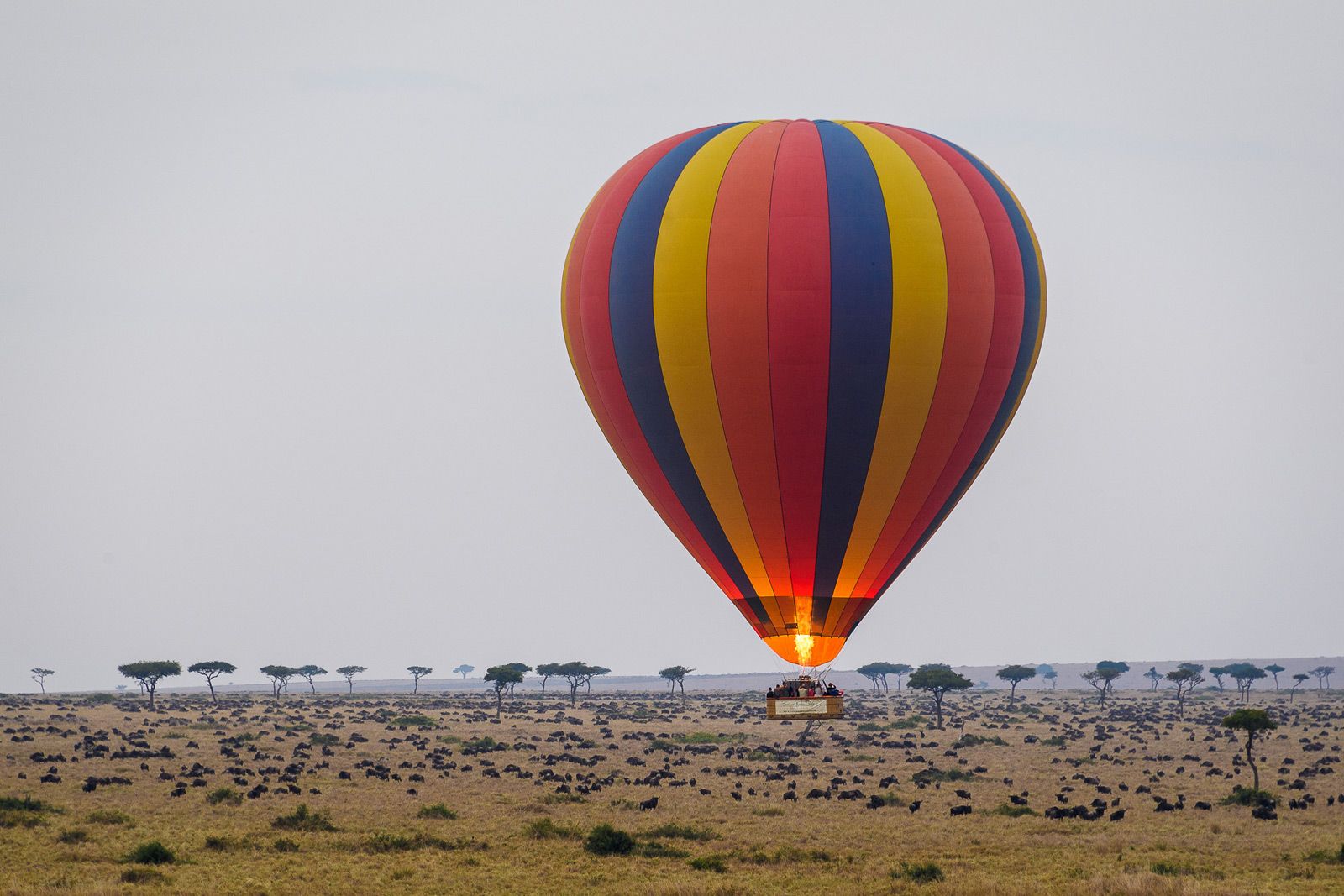 How Long Does a Typical Hot Air Balloon Safari Last?