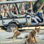Are Game Drives Available in Rwanda?
