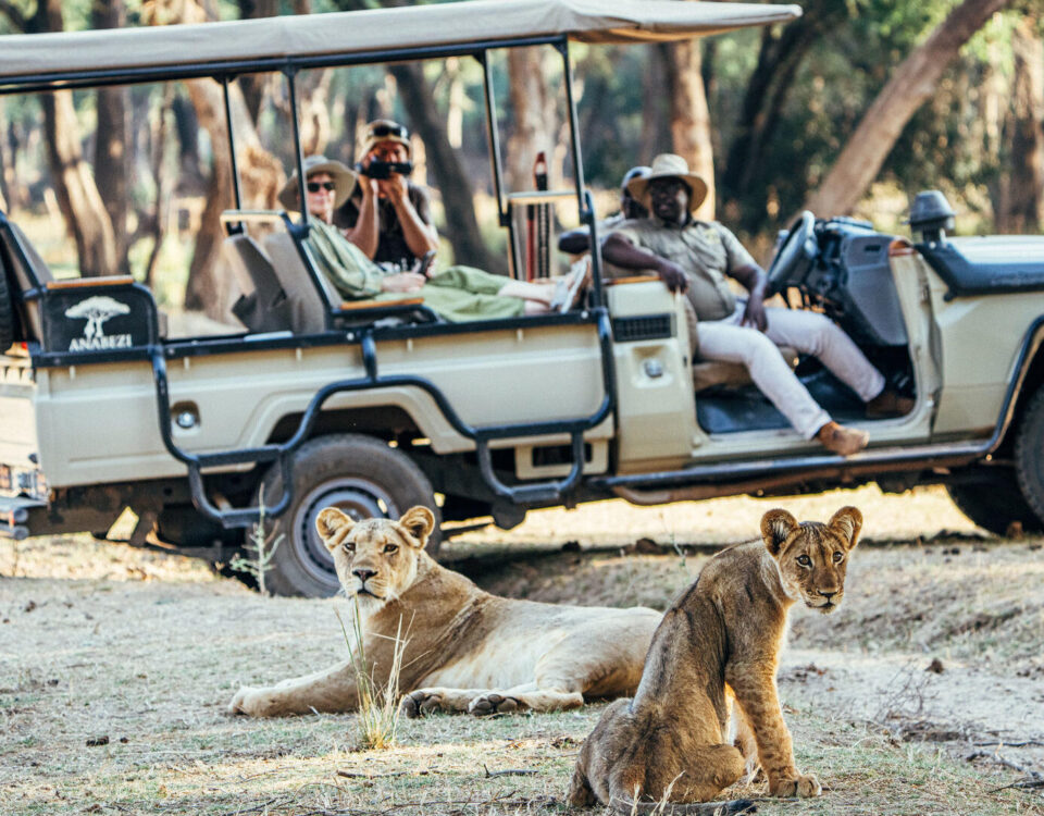 Are Game Drives Available in Rwanda?