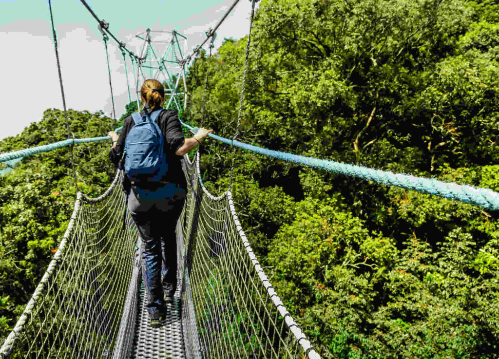 Can Chimpanzee Tracking Be Combined with Canopy Walks?