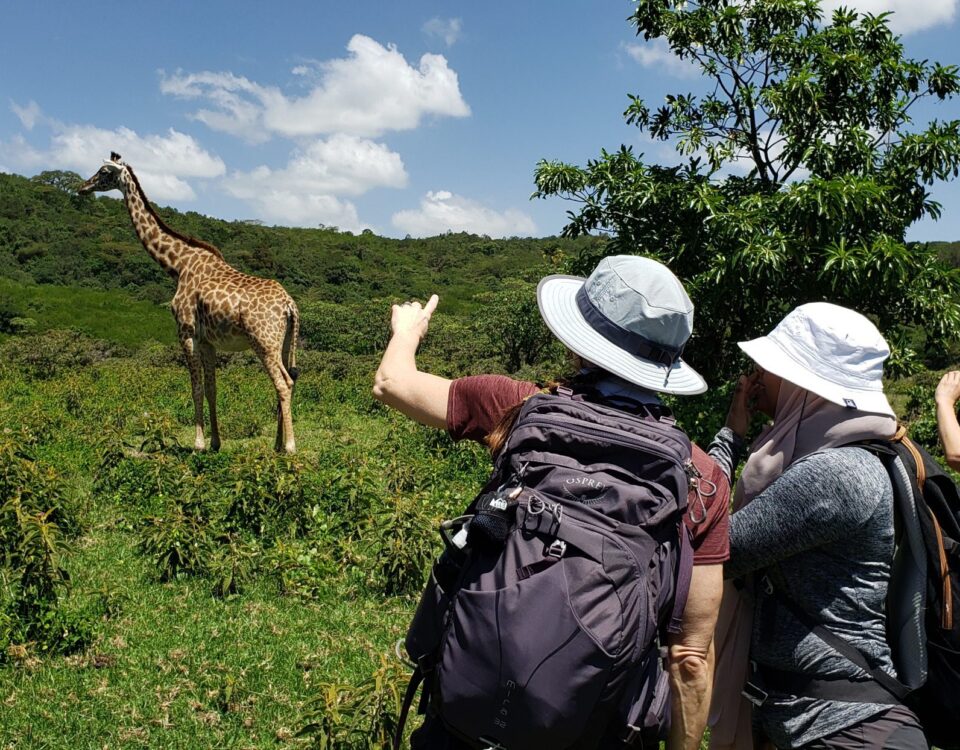 Walking Safaris in Arusha National Park