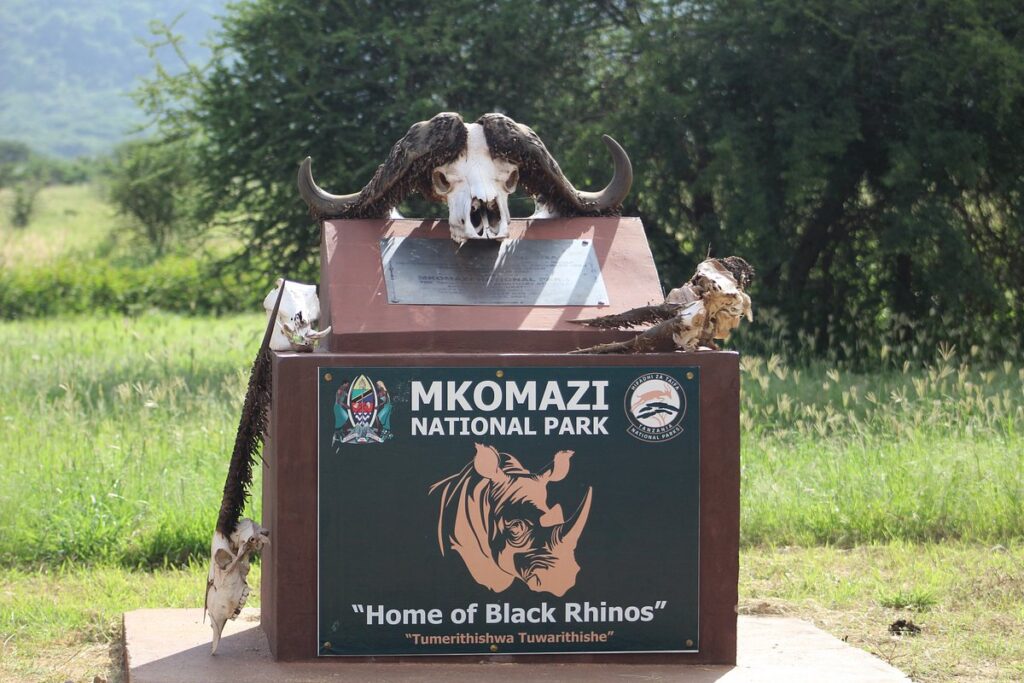 What is the best season for Mkomazi safari?