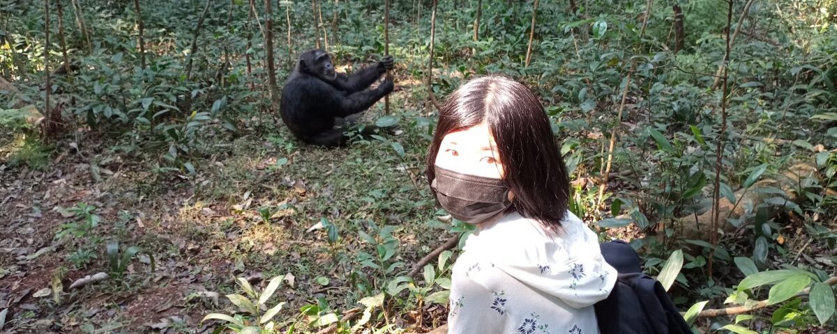 Can I Take Photos During Chimp Tracking?