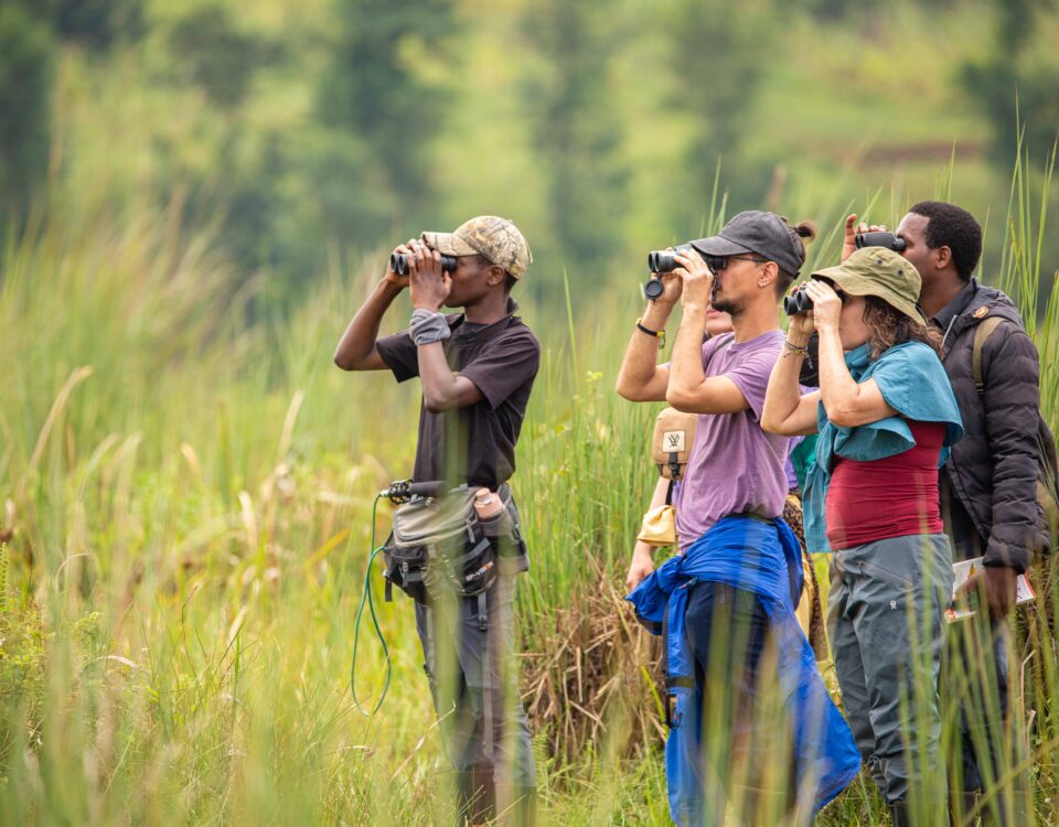 The best student safari destination in East Africa