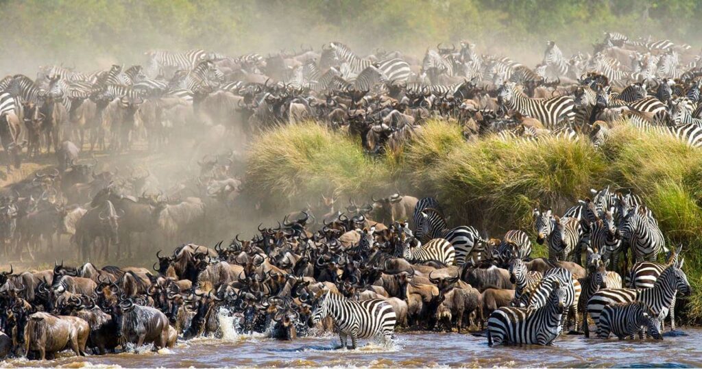 Is the Great Migration Predictable?