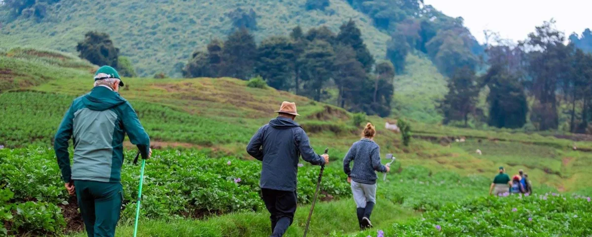Multi-Day Hiking Tours