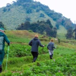 Multi-Day Hiking Tours