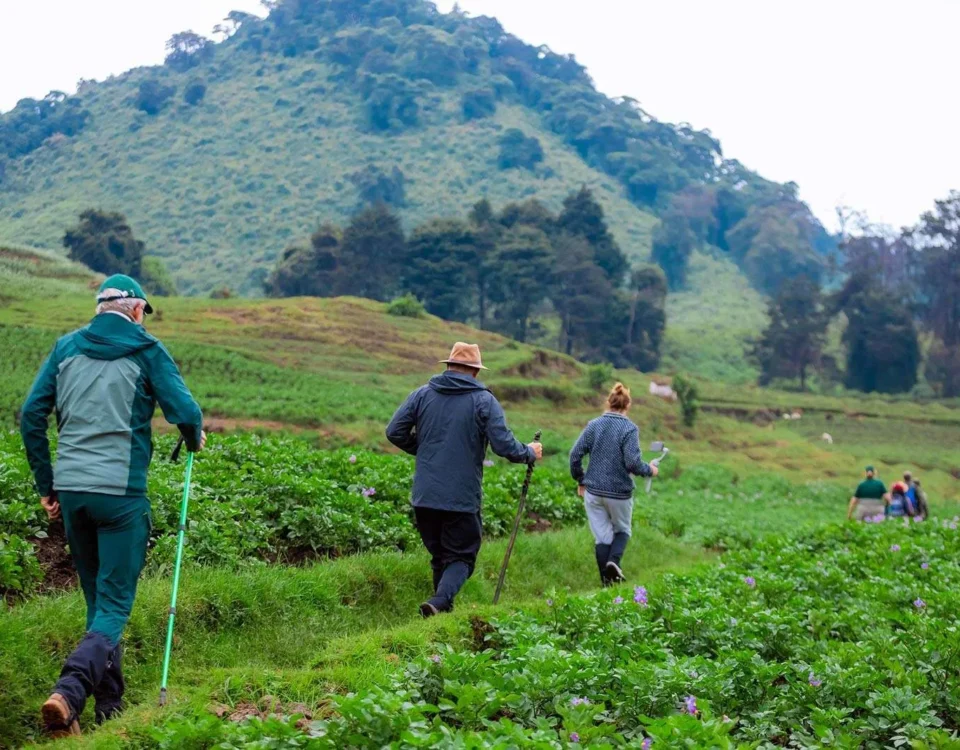 Multi-Day Hiking Tours